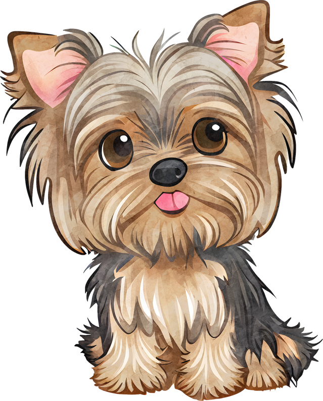 Yorkshire Terrier Dog